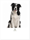 Beispiel: so sieht dein Hundefoto darauf aus – du lädst dein eigenes Foto hoch