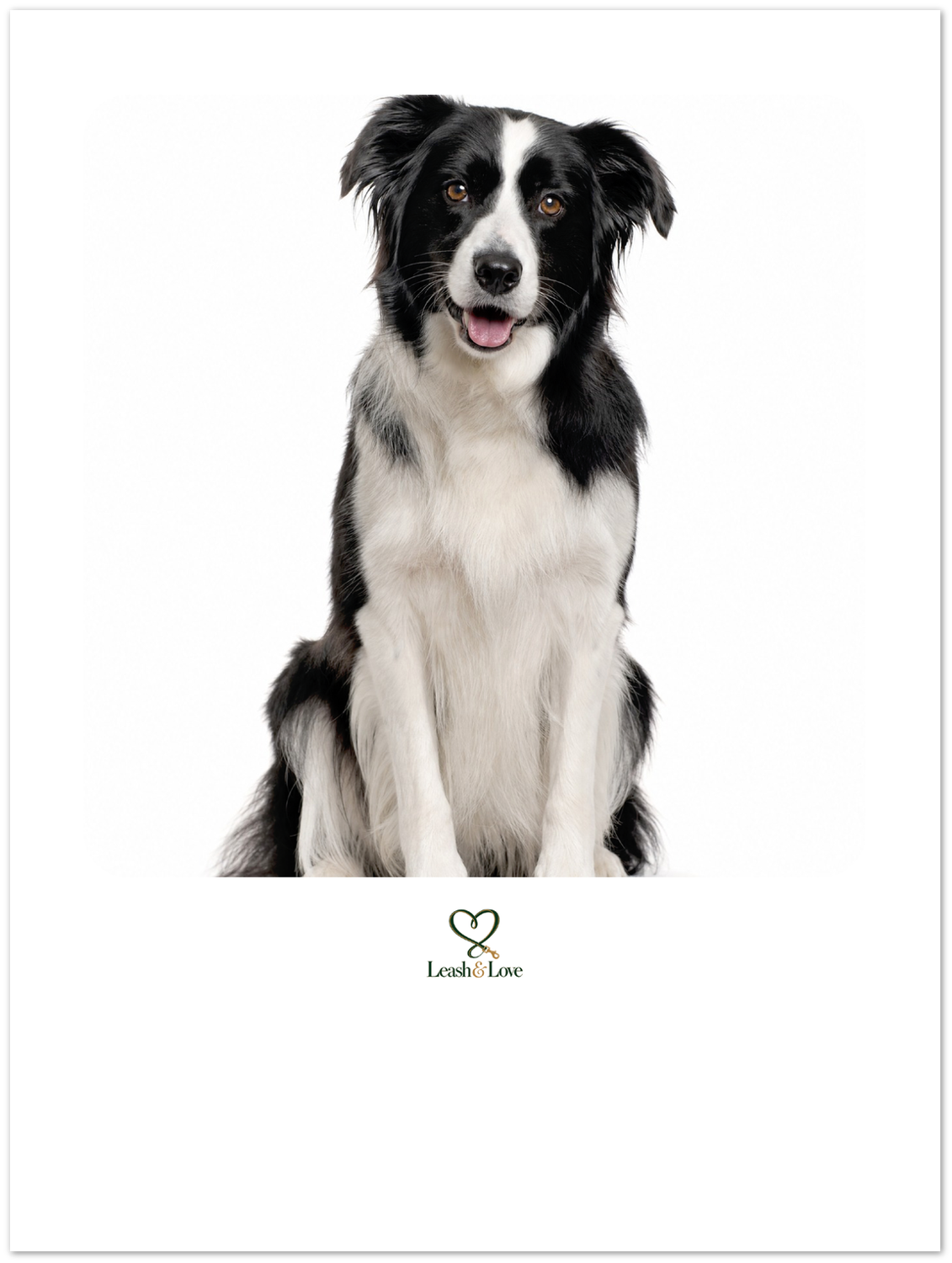 Beispiel: so sieht dein Hundefoto darauf aus – du lädst dein eigenes Foto hoch