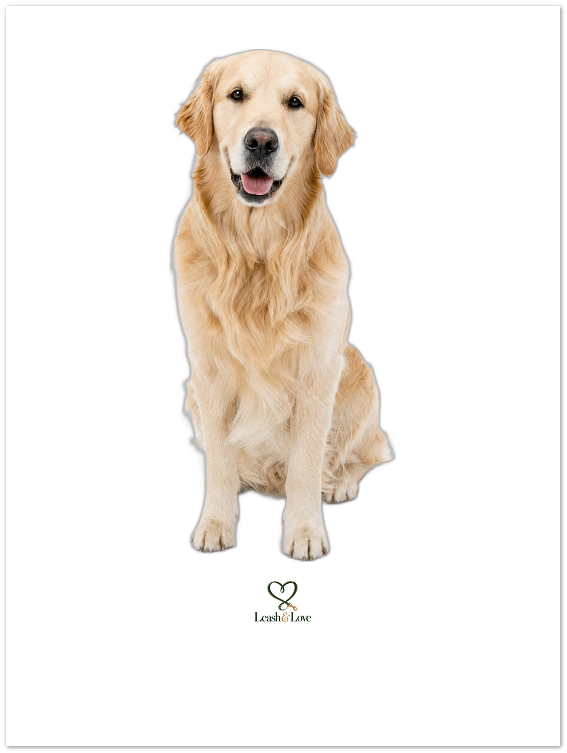 Beispiel Hunderasse Golden Retriever – du wählst deine Rasse
