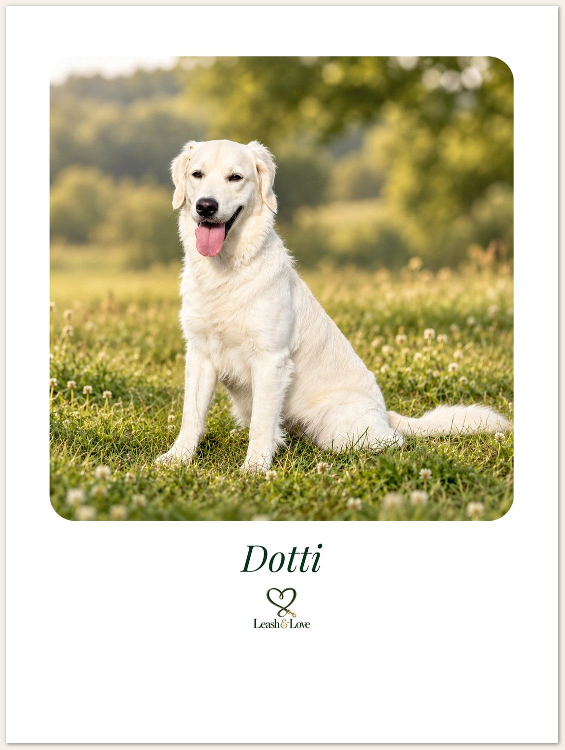 Beispiel mit unserer Dotti – du bekommst deinen eigenen Hund